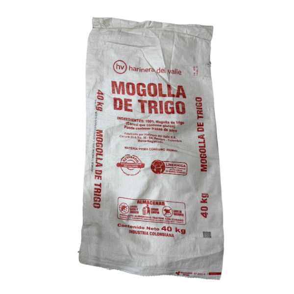 diseño sin título 23